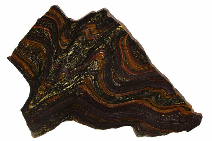 Polished Tiger Iron Stromatolite - Billion Years #129347